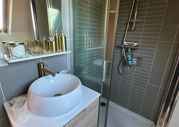 Maison Avec Piscine * La Chapelle-Saint-Aubin